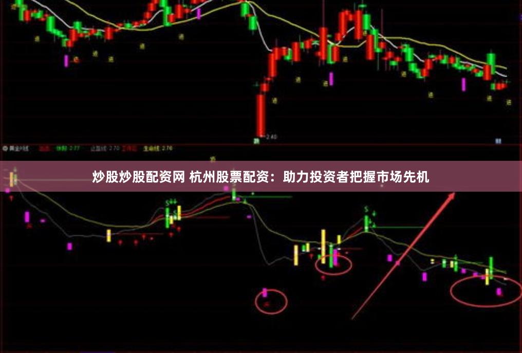 炒股炒股配资网 杭州股票配资：助力投资者把握市场先机