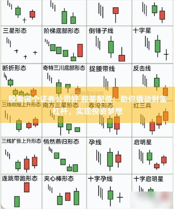 股票哪个证券公司好 股莘配资：助你撬动财富杠杆，实现投资梦想