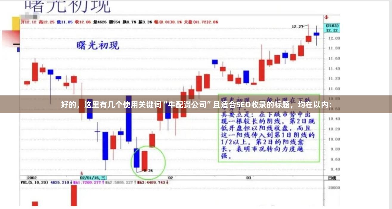 好的，这里有几个使用关键词“牛配资公司”且适合SEO收录的标题，均在以内：