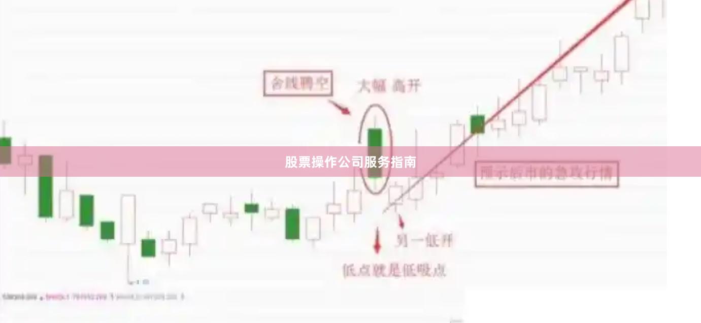 股票操作公司服务指南