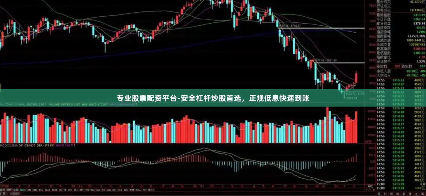 专业股票配资平台-安全杠杆炒股首选，正规低息快速到账