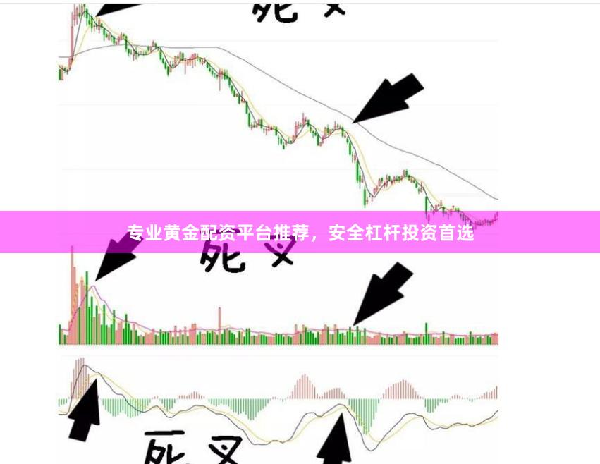 专业黄金配资平台推荐，安全杠杆投资首选